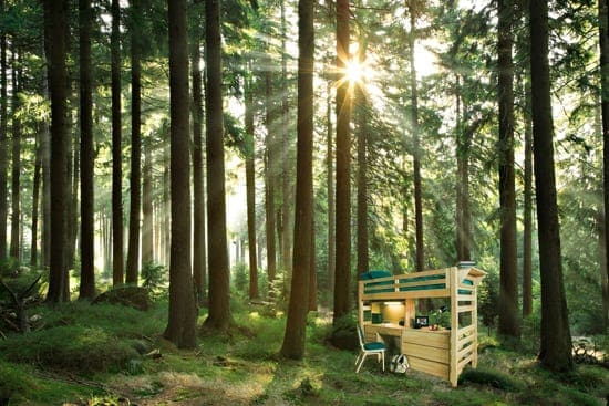 Open Loft in Trees