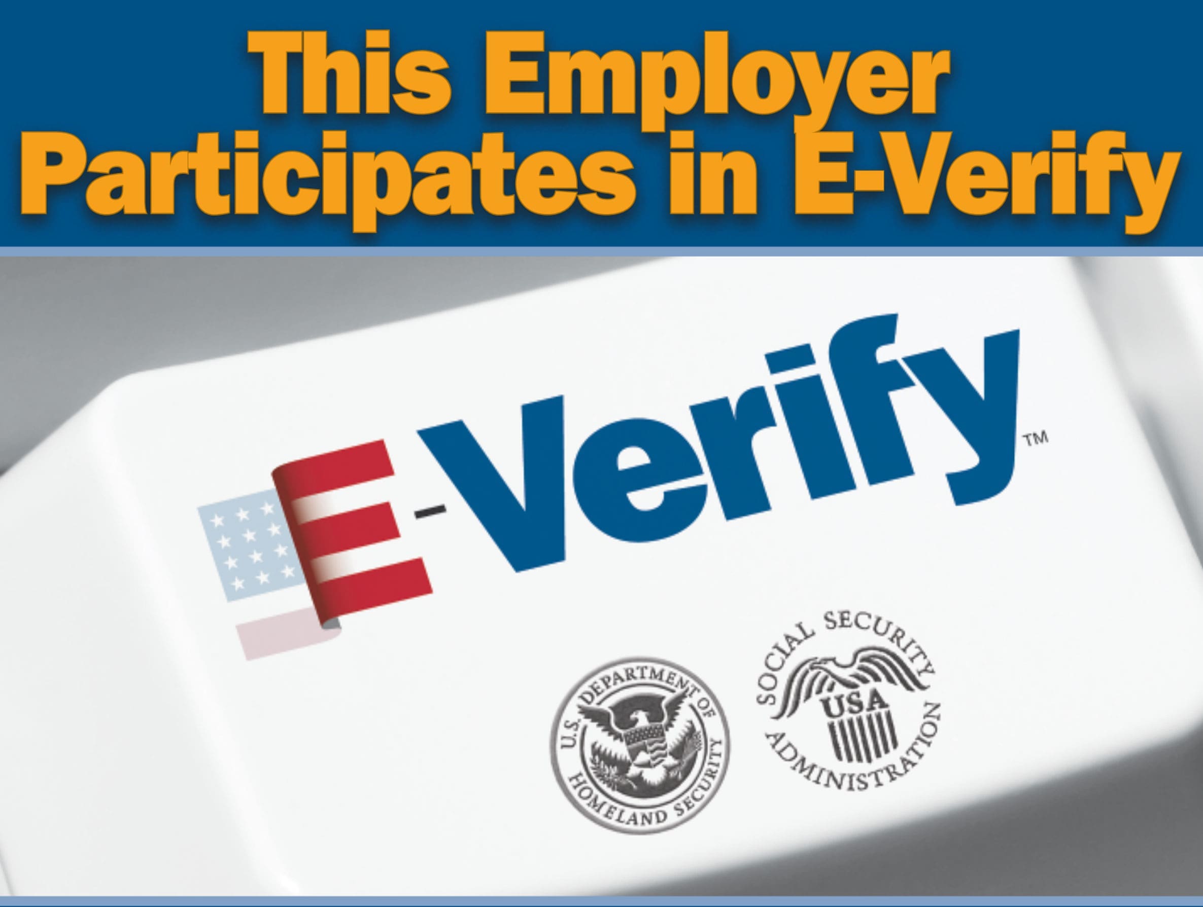 E Verify English