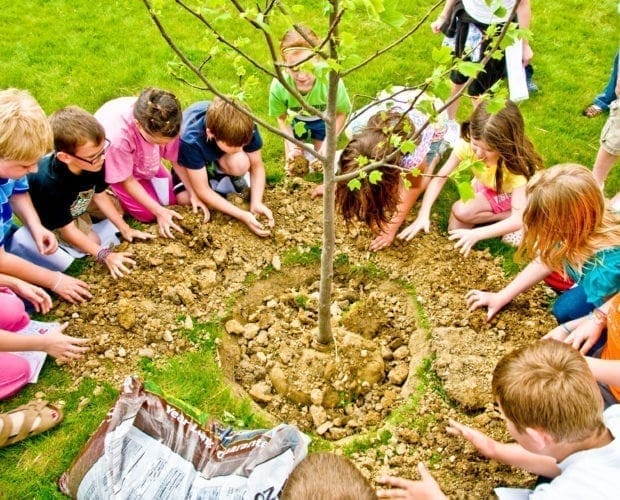 Arbor Day