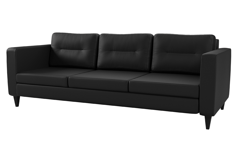 Baxter Sofa in Dillon Black