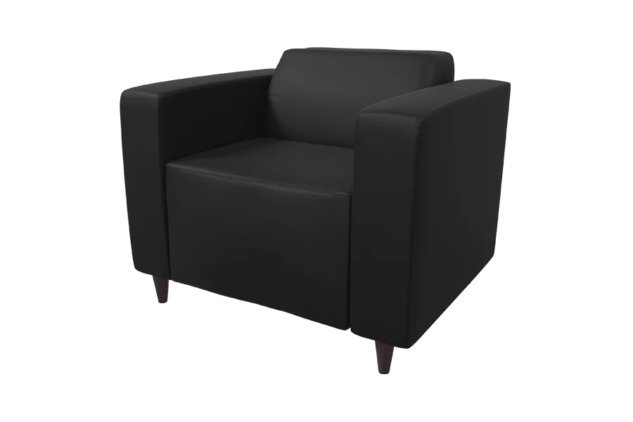 Ripley Chair in Dillon Black