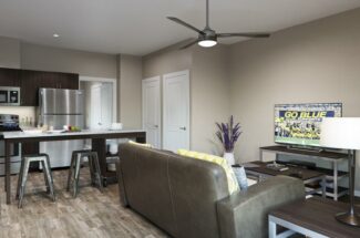 theone-annarbor-livingroom